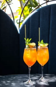 Kombucha for weight loss